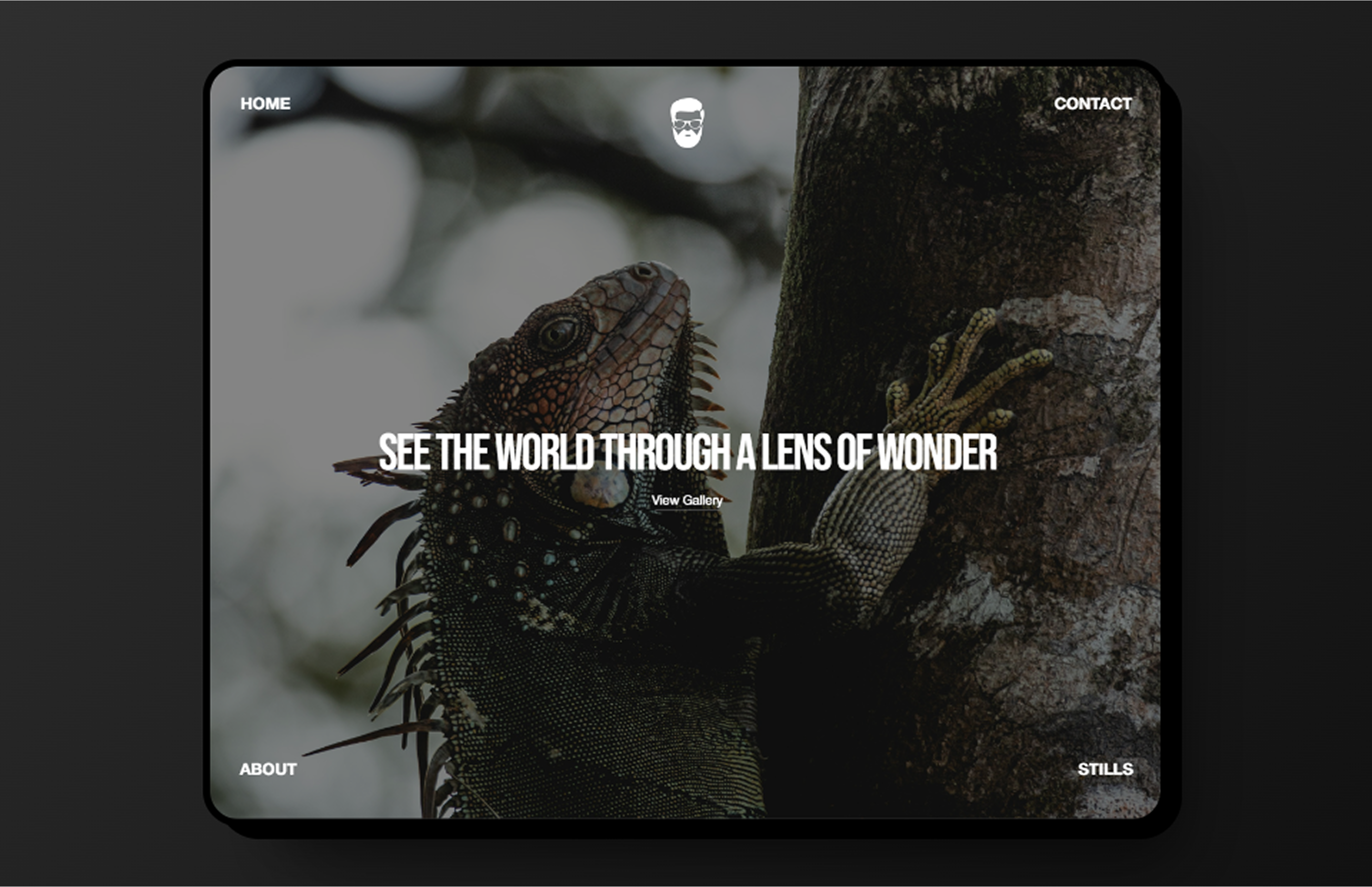our services - web design